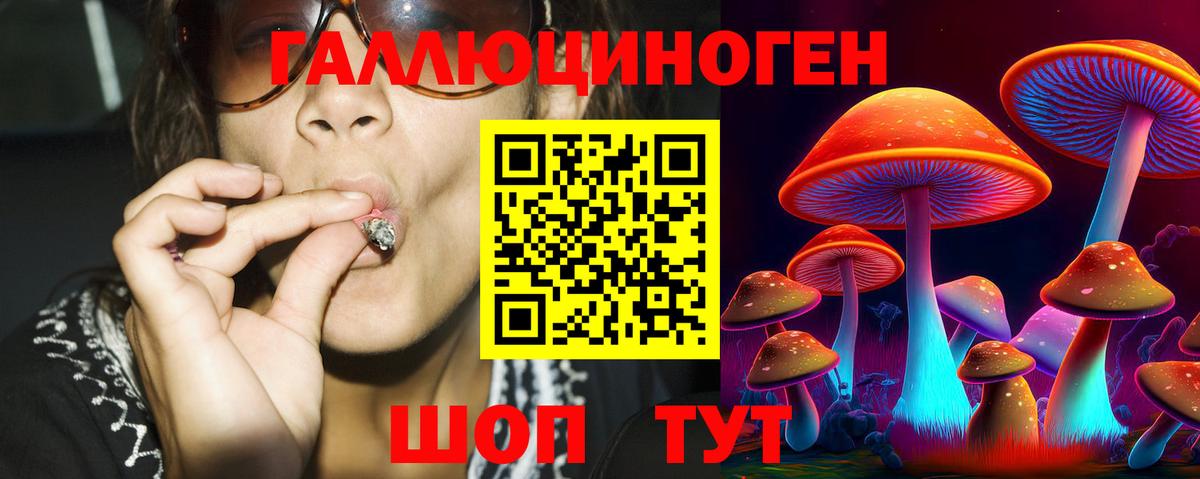 Медногорск  Псилоцибиновые грибы Cubensis  Вход с VPN 