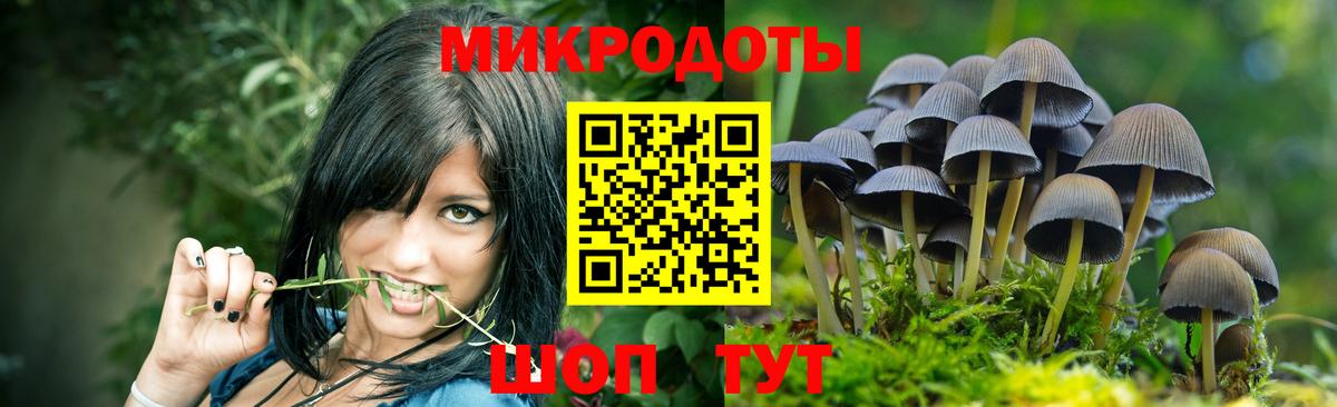Псилоцибиновые грибы прущие грибы Медногорск